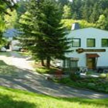 Pension Waldidyll Stützerbach Extérieur photo