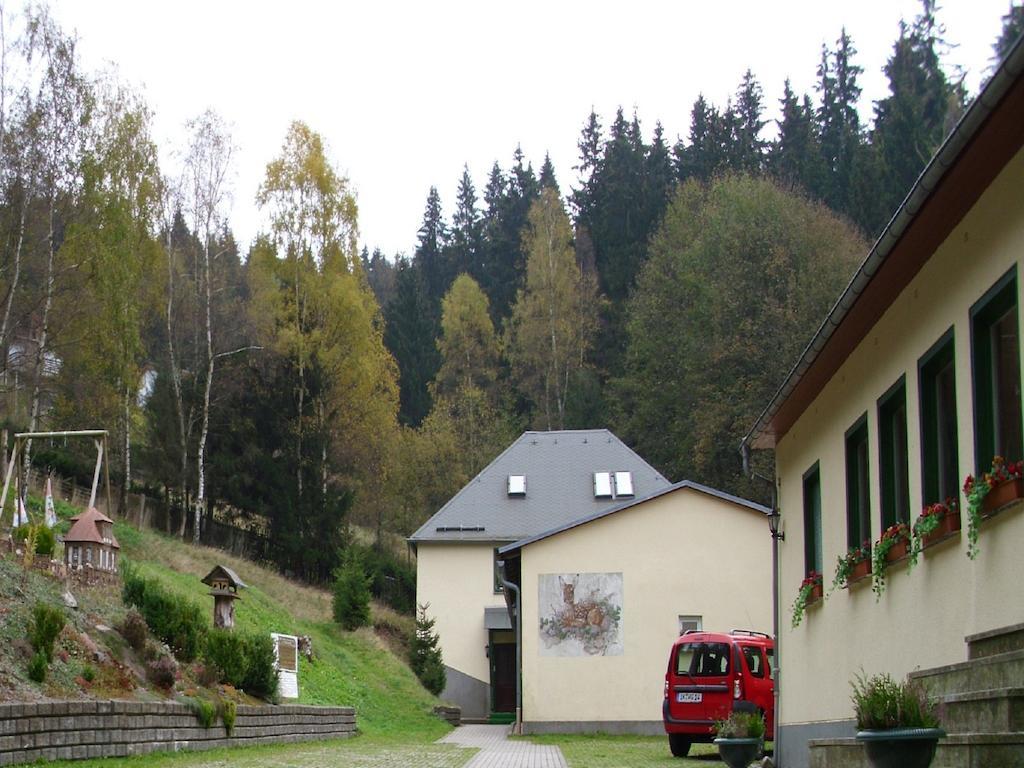 Pension Waldidyll Stützerbach Extérieur photo