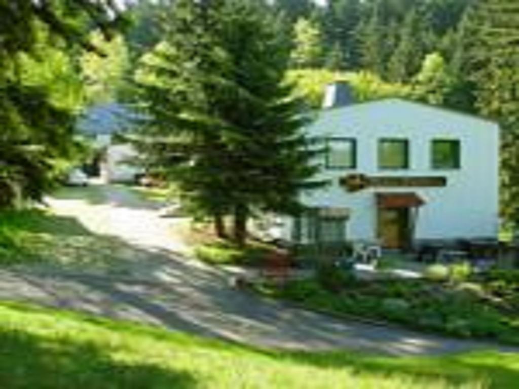 Pension Waldidyll Stützerbach Extérieur photo