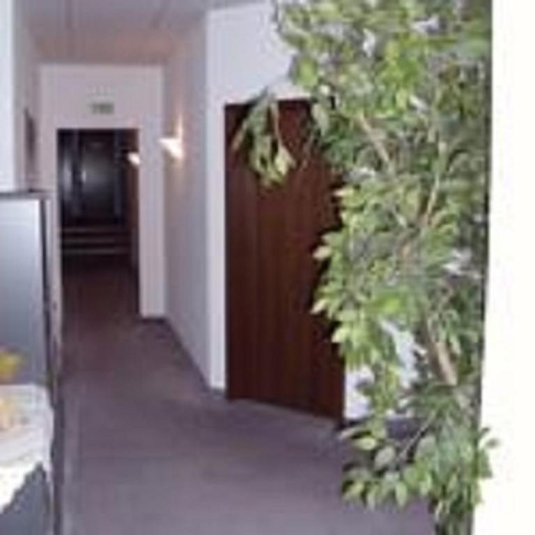 Pension Waldidyll Stützerbach Extérieur photo
