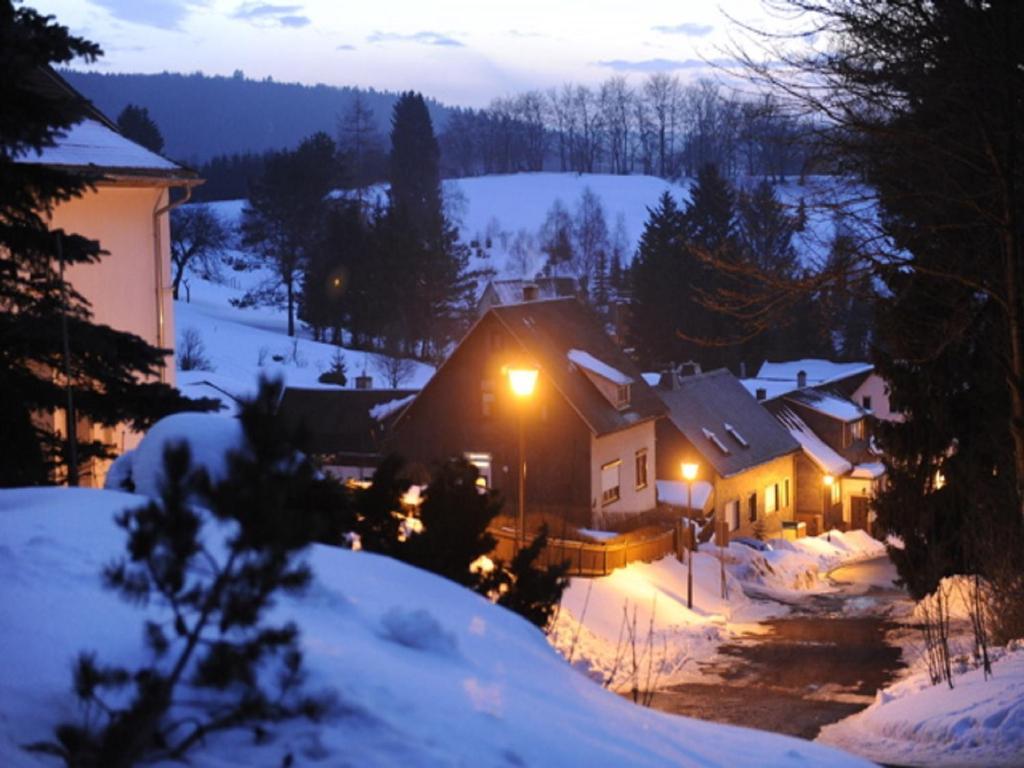 Pension Waldidyll Stützerbach Extérieur photo