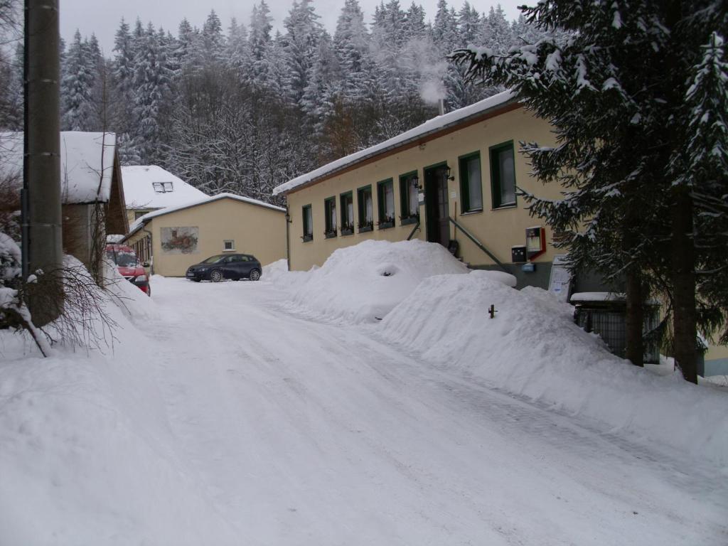 Pension Waldidyll Stützerbach Extérieur photo