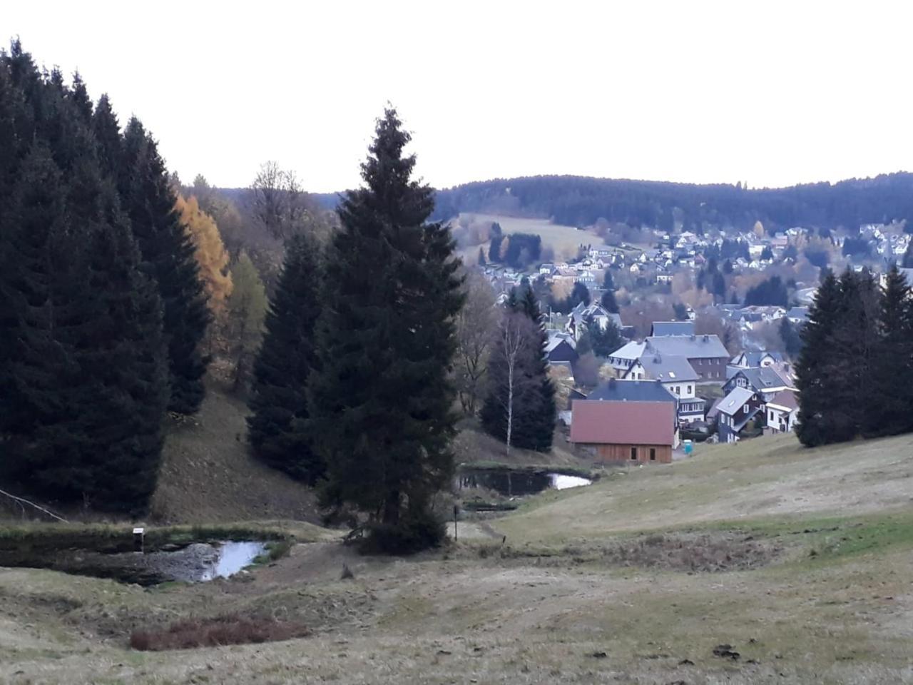 Pension Waldidyll Stützerbach Extérieur photo