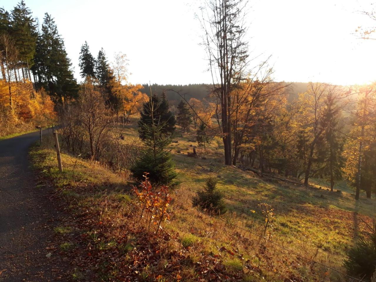 Pension Waldidyll Stützerbach Extérieur photo