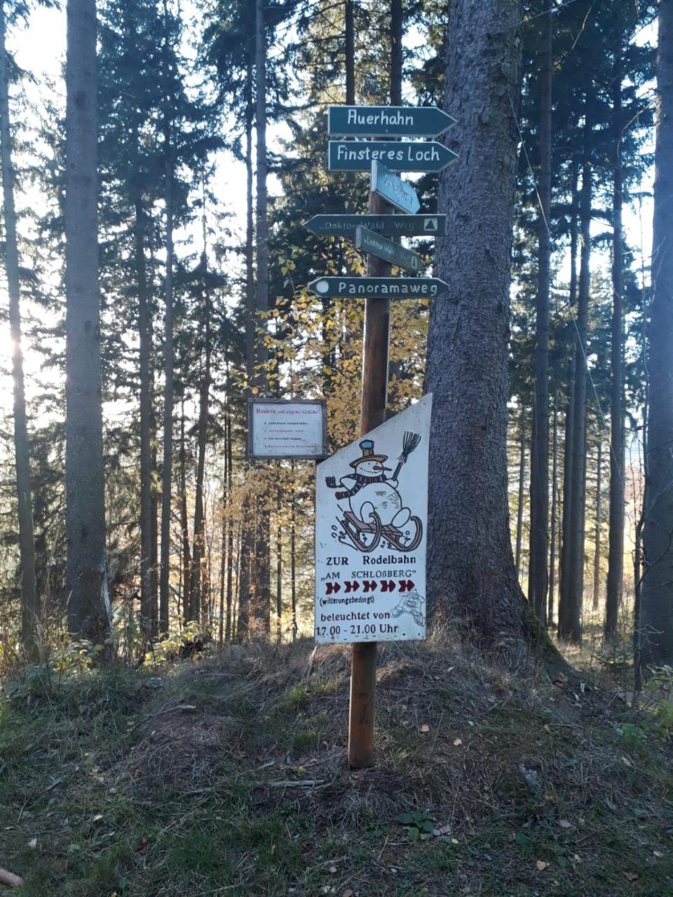 Pension Waldidyll Stützerbach Extérieur photo